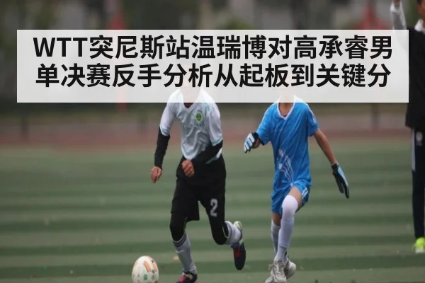 WTT突尼斯站温瑞博对高承睿男单决赛反手分析从起板到关键分